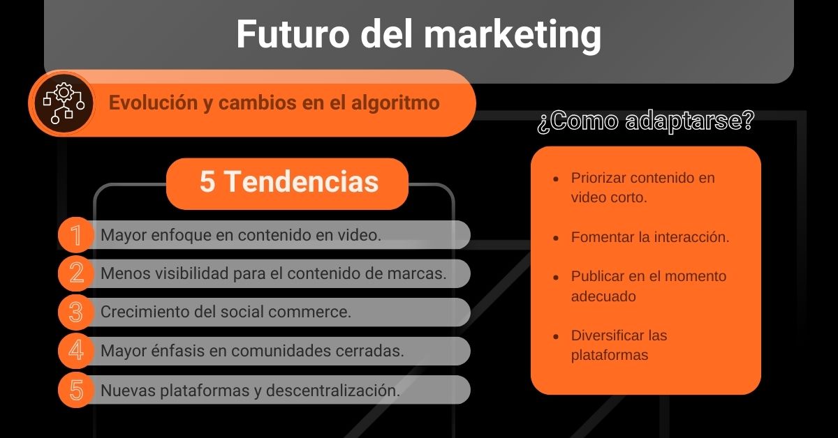 evolucion cambios algortimo datum digital marketing